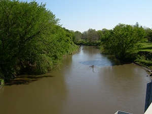 View Upstream
