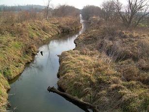 View Downstream