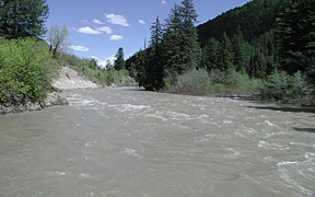 Greys River above Reservoir near Alpine, WY - USGS file photo