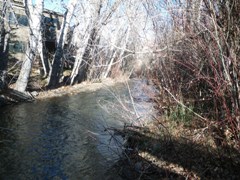 Trail Creek at Ketchum, ID upstream- USGS file photo