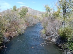 Little Wood River near Carey, ID - USGS file photo