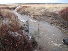 Indian Creek above Indian Creek Res near Boise, ID - USGS file photo