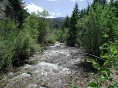 Big Timber Creek above diversions near Leadore, ID - USGS file photo