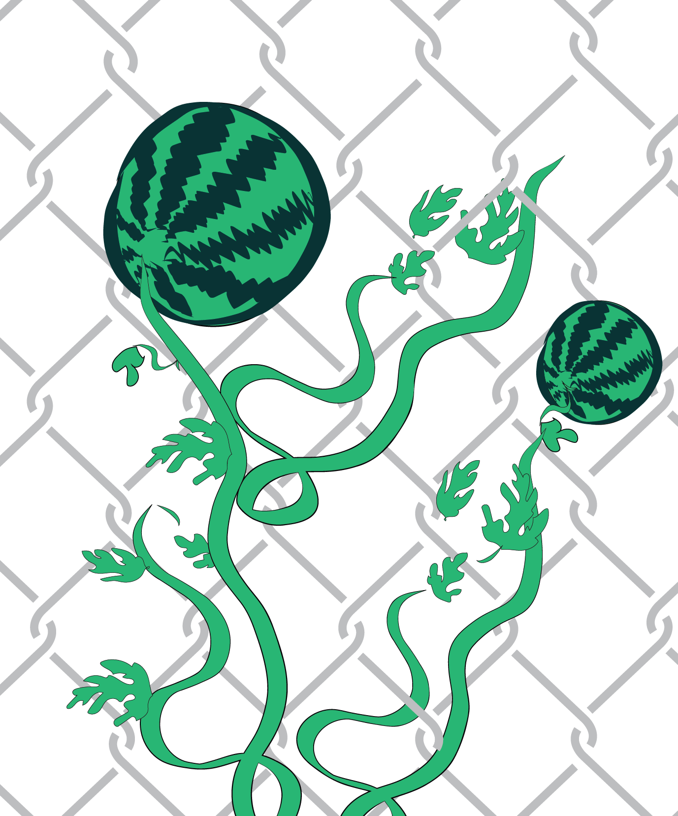An image that shows a watermelon-like fruit vine climbing a chainlink fence.