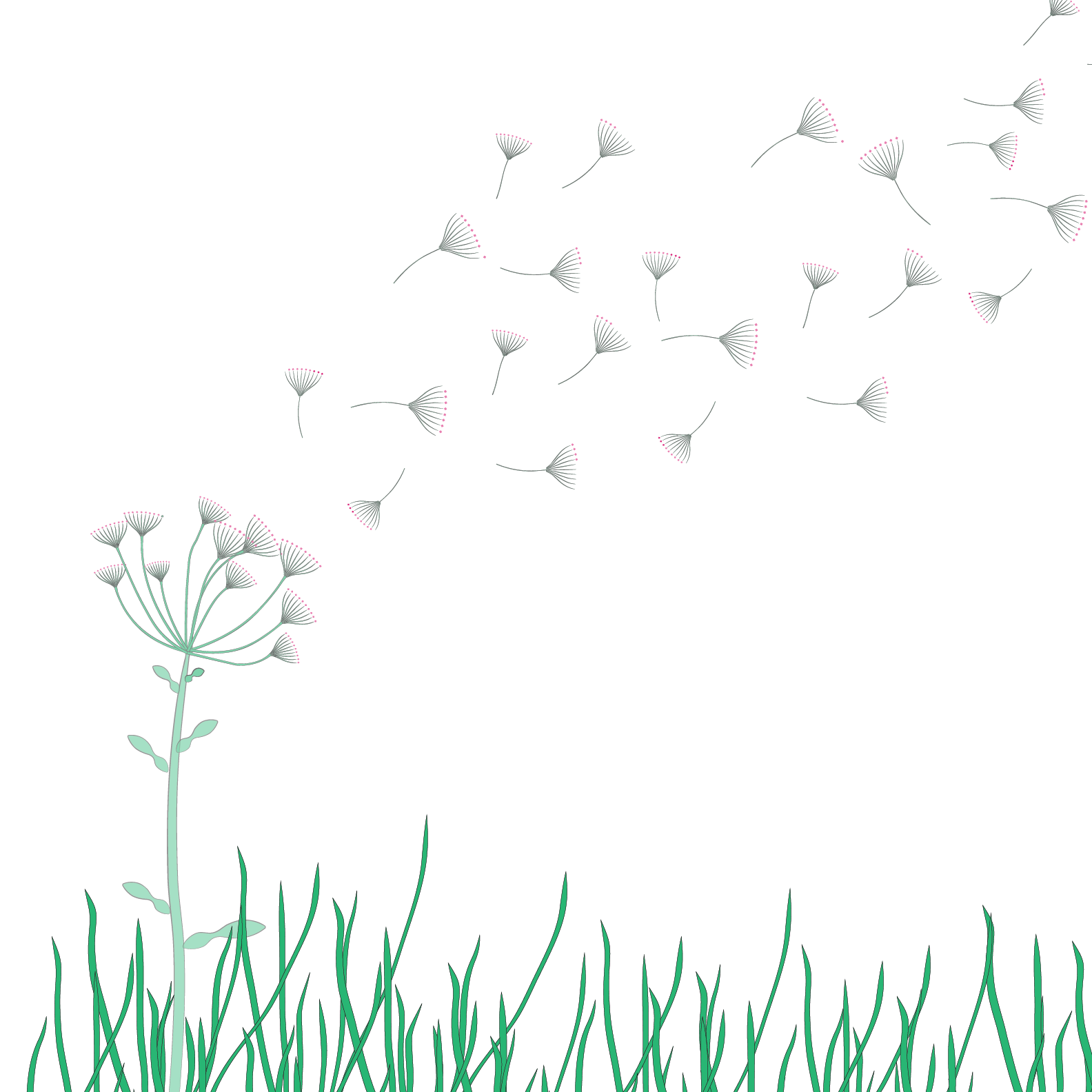 An illustration of dandelion seeds blowing in the wind from left to right. Bottom of image is wild green grass.
