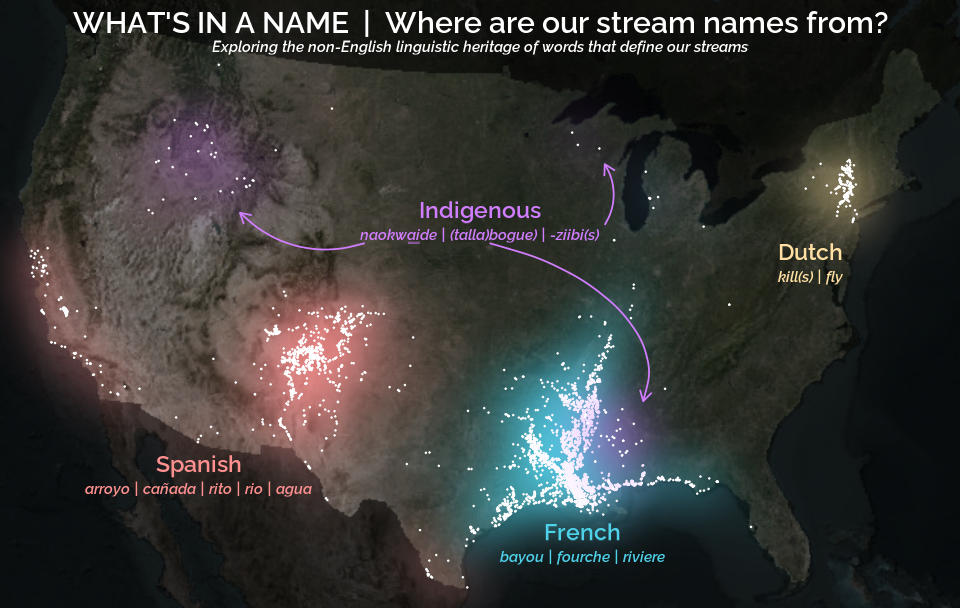 A map of glowing points within the conterminous Unites States on a darkened landscape basemap. The title reads 'What's in a name. Where are our stream names from? Exploring the non-English linguistic heritage of words that define our streams.' Red text sits near many red points near the American southwest and reads 'Spanish: arroyo, cañada, rito, rio, agua'. Blue text near many blue points along the Gulf Coast reads 'French: bayou, fourche, riviere.' Orange text near orange points concentrated in upstate New York reads 'Dutch: kill(s), fly.' Purple text points to two clusters of purple points in near Alabama and Idaho and reads 'Indigenous: naokwaide, (talla)bogue.