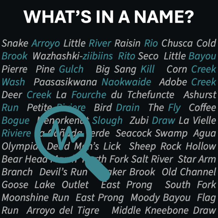 Extracting the grammar of U.S. stream names