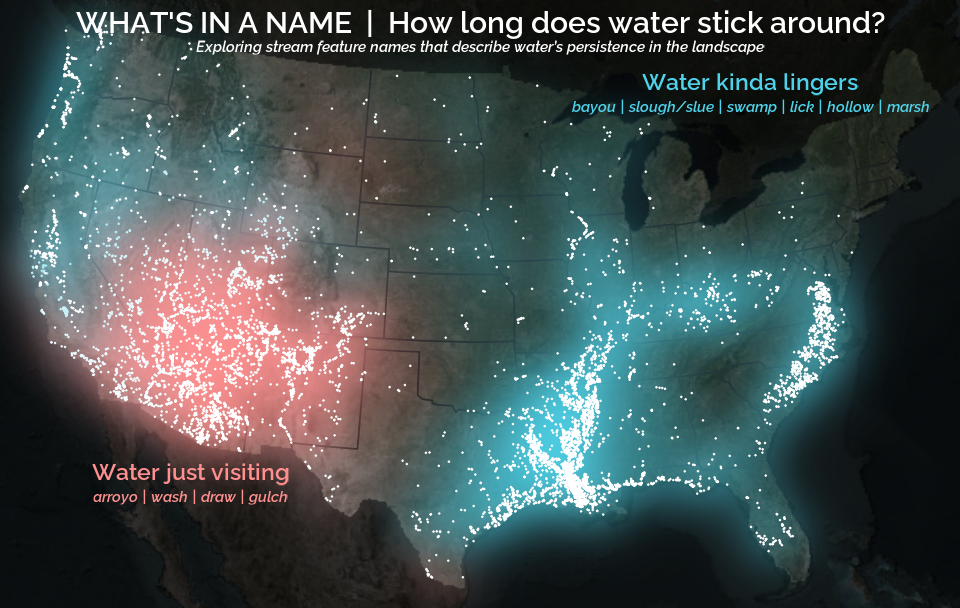 A map of glowing points within the conterminous Unites States on a darkened landscape basemap. The title reads 'What's in a name. How long does water stick around? Exploring stream feature names that describe water's persistence in the landscape.' Red text sits near many red points near the American southwest and reads 'water just visiting: arroyo, wash, draw, gulch'. There are blue points common throughout the rest of the U.S. Blue text reads 'water kinda lingers: bayou, slough/slue, swamp, lick, hollow, marsh.'