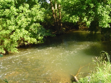 Shirtee Creek