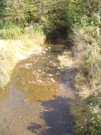 Carroll Creek