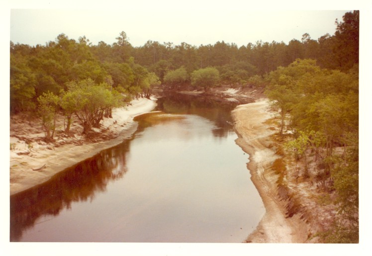 Link to the Suwannee River Water Management District 