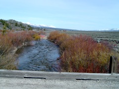 Salmon River at Pole Creek Road above diversions near Obsidian, ID - USGS file photo