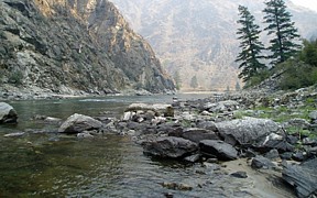 MF Salmon River at mouth near Shoup, ID - USGS file photo
