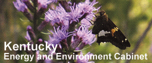 Kentucky Environmental and Public Protection Cabinet Logo