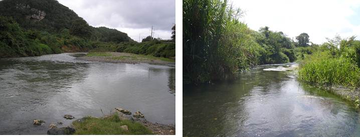 Image of Rio Grande de Manati at Highway 2 near Manati
